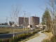 img0136.jpg