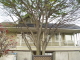 img0145.jpg
