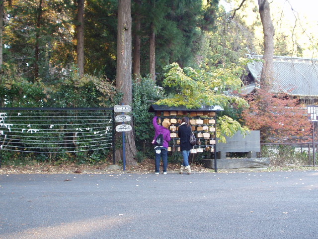 img0010.jpg