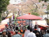 img0013.jpg