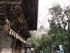 img0036.jpg