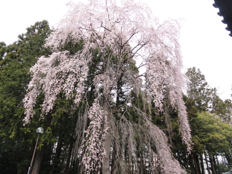img0021.jpg