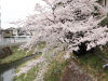 img0001.jpg