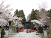 img0005.jpg
