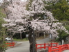 img0008.jpg