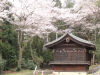 img0019.jpg