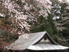 img0024.jpg