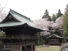 img0040.jpg