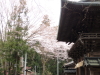 img0042.jpg