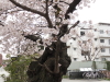 img0045.jpg