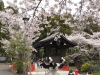 img0046.jpg