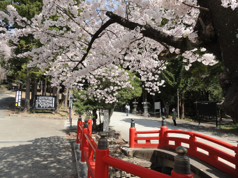 img0017.jpg