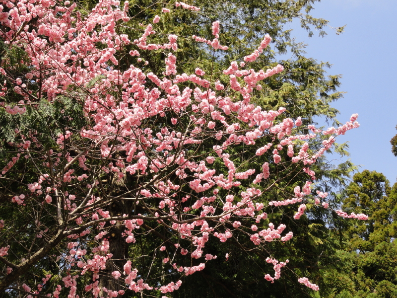 img0054.jpg