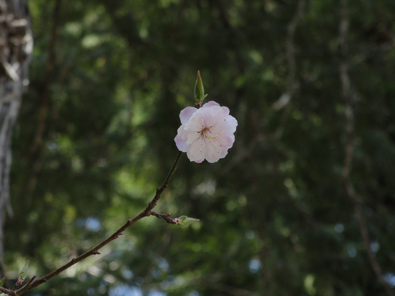 img0056.jpg