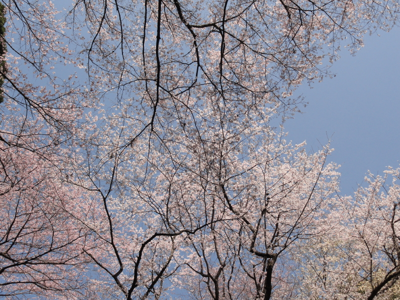 img0062.jpg