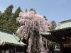 img0031.jpg