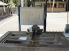 img0035.jpg