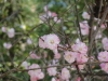 img0044.jpg