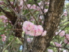 img0046.jpg
