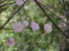 img0047.jpg