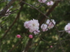 img0049.jpg