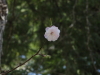 img0056.jpg
