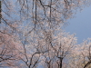 img0062.jpg