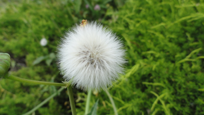 img0005.jpg