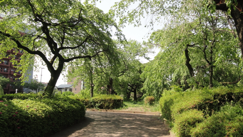img0012.jpg