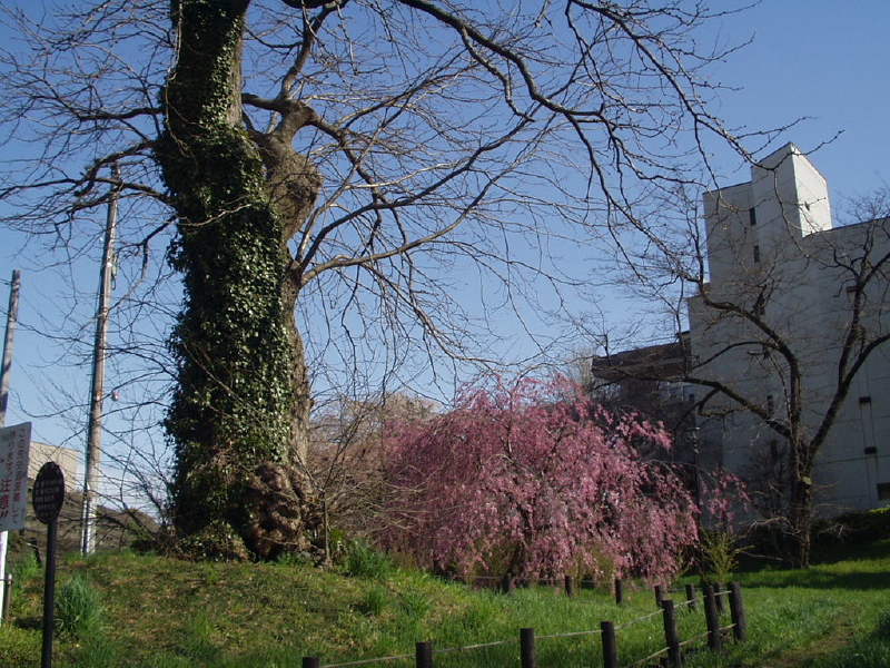 img0013.jpg