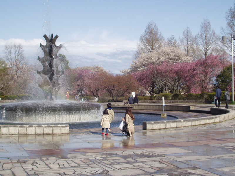 img0019.jpg