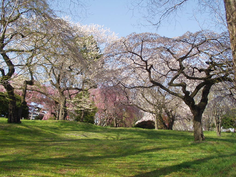 img0023.jpg