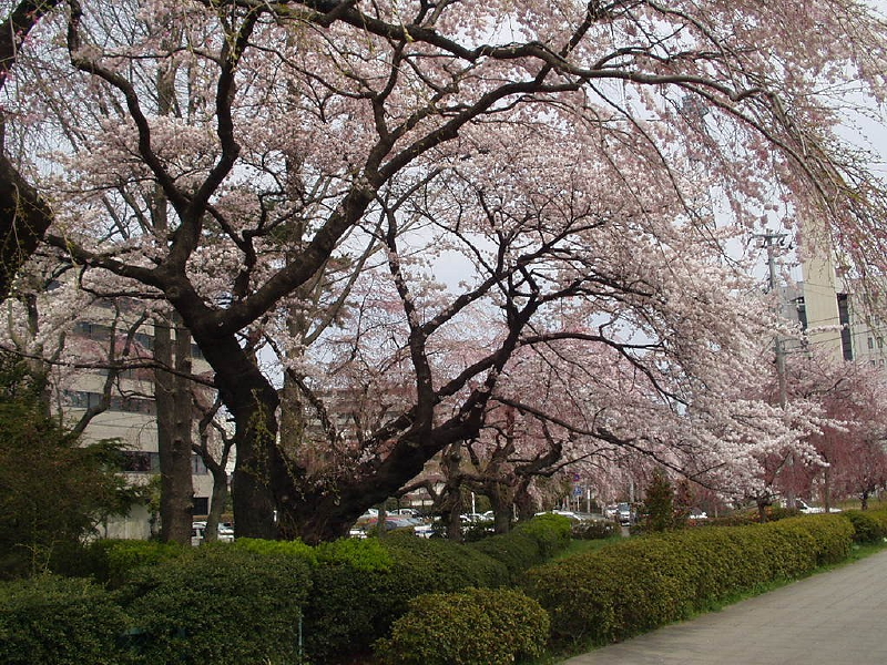 img0026.jpg