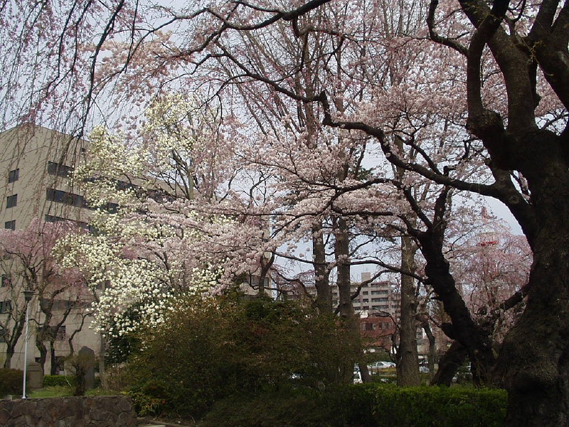 img0027.jpg