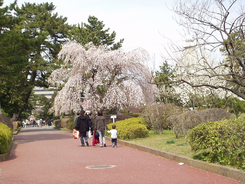 img0030.jpg
