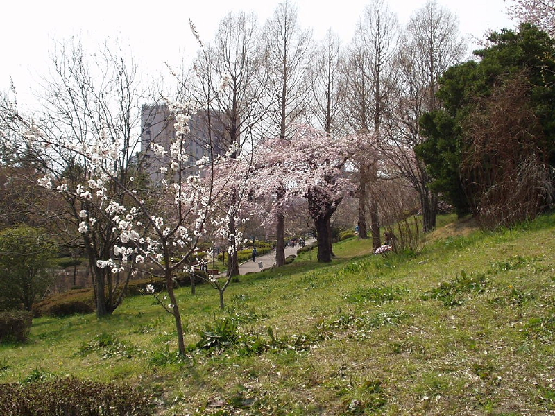 img0033.jpg
