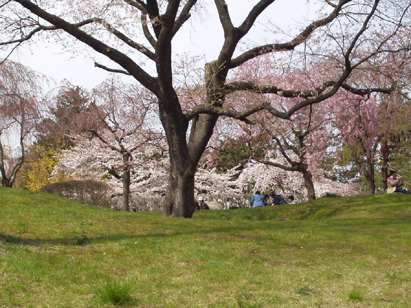 img0036.jpg