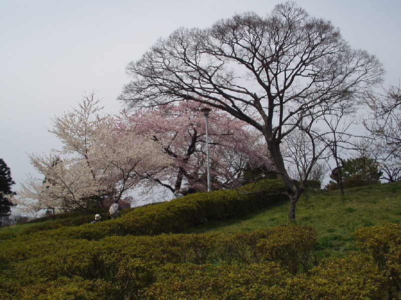 img0038.jpg