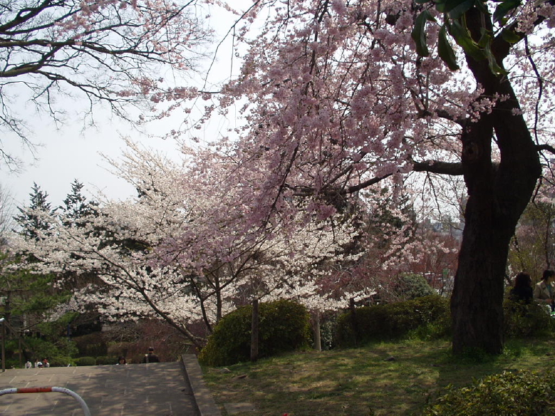 img0040.jpg