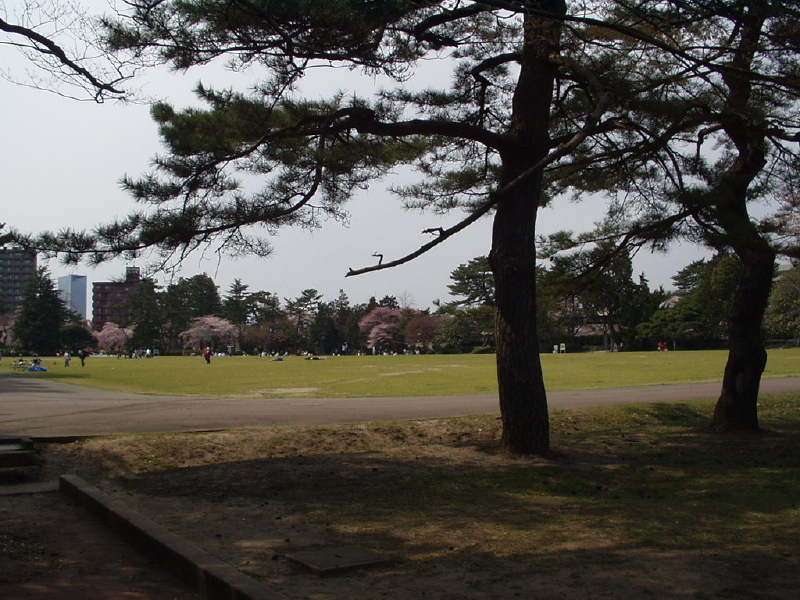 img0041.jpg