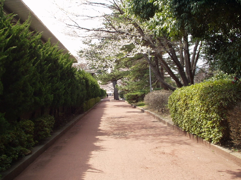 img0042.jpg