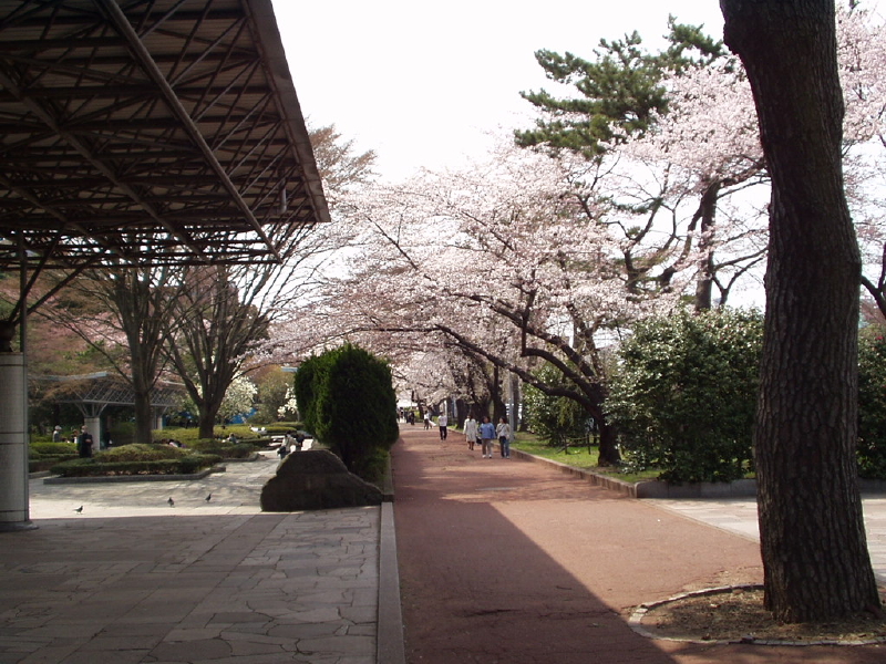 img0043.jpg