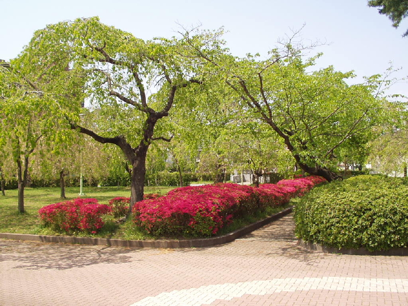 img0045.jpg