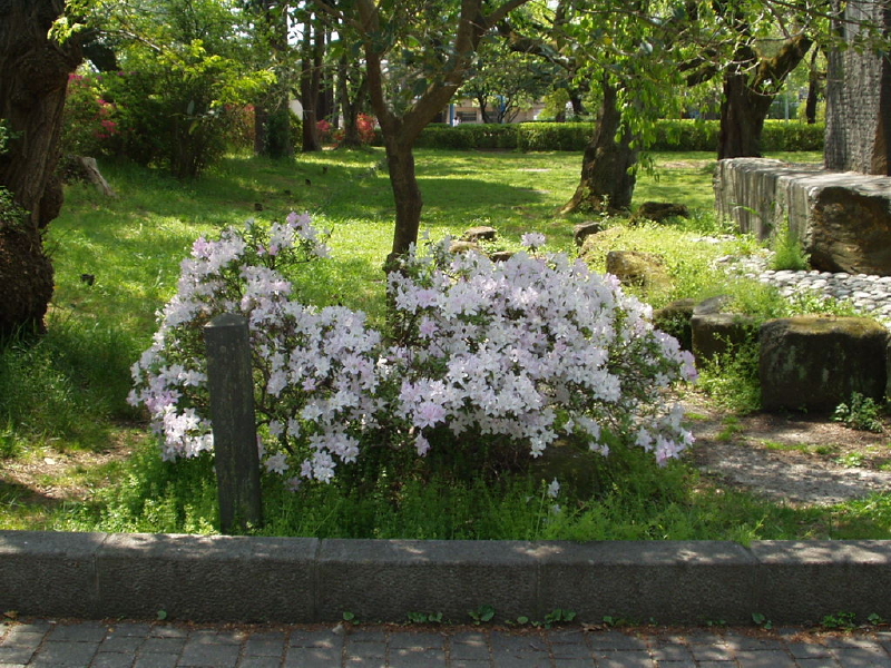 img0046.jpg