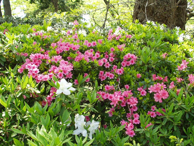 img0047.jpg