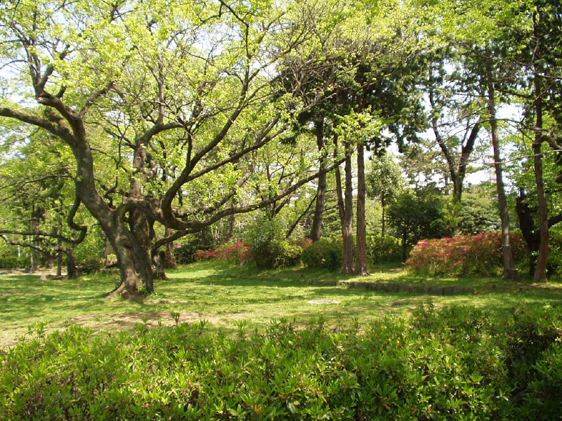 img0050.jpg