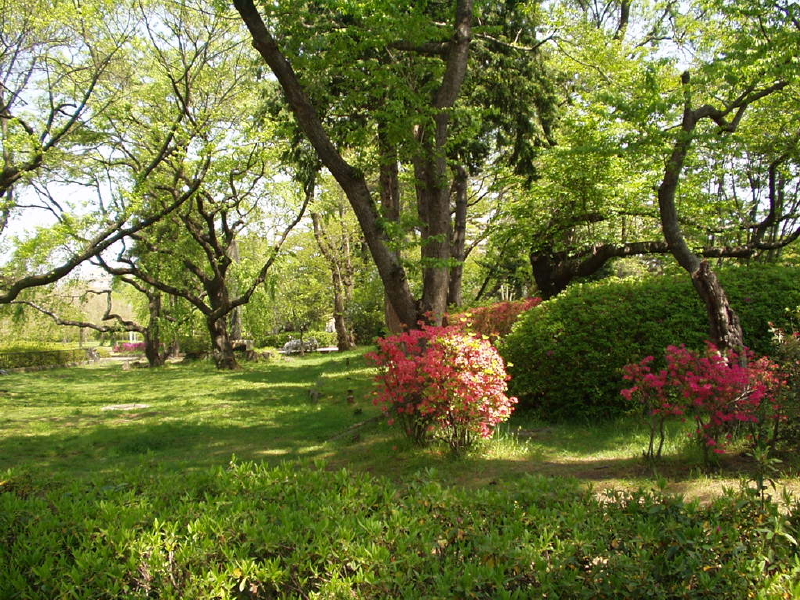 img0051.jpg