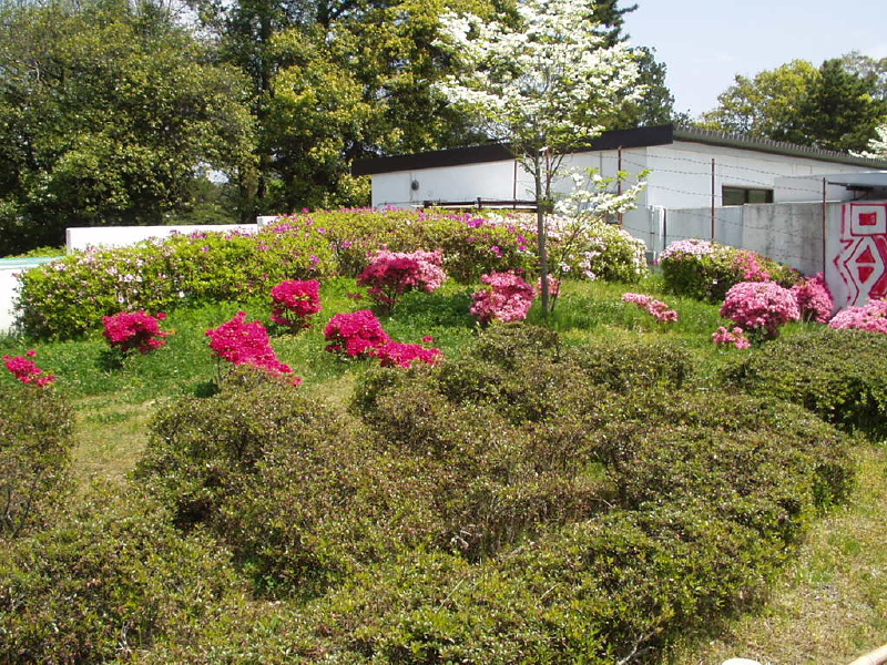 img0052.jpg