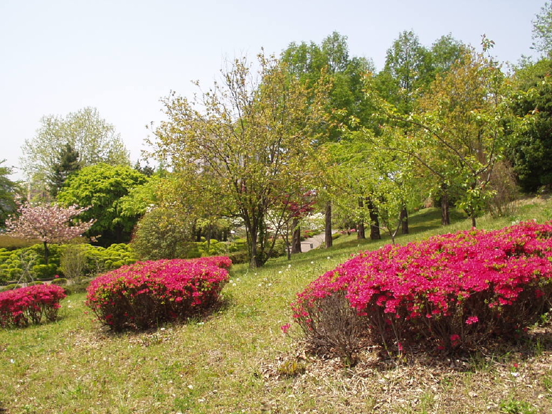 img0056.jpg