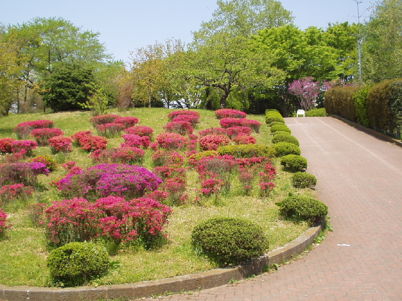 img0058.jpg